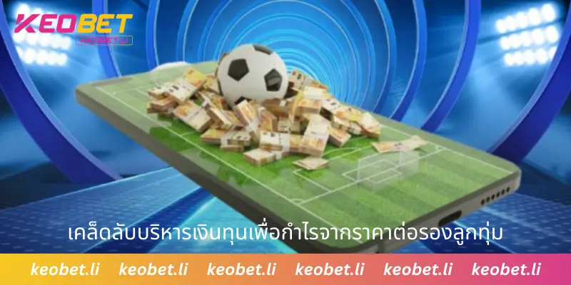 เคล็ดลับบริหารเงินทุนเพื่อกำไรจากราคาต่อรองลูกทุ่ม